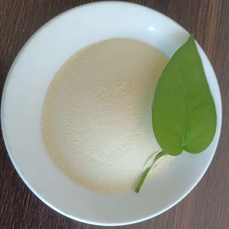 Amino Acid Powder Fertilizer — Premium Plant Nutrition for Faster Growth, Stronger Roots, and Better Yields