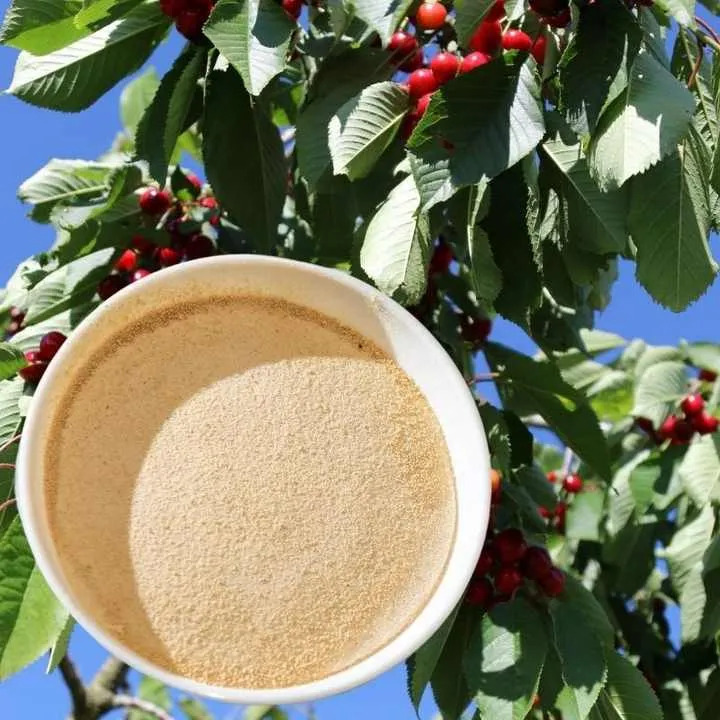 Plant Nutrition Amino Acid Chelated Calcium Powder Organic Fertilizer Natural Biostimulant