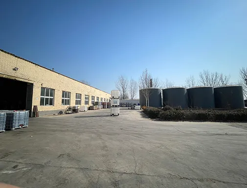 Company Environment