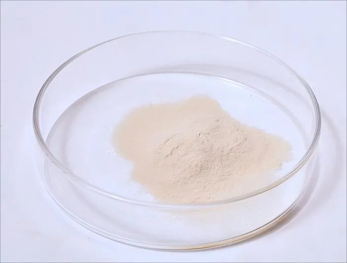 Best-Selling Hydrolyzed Protein Powder