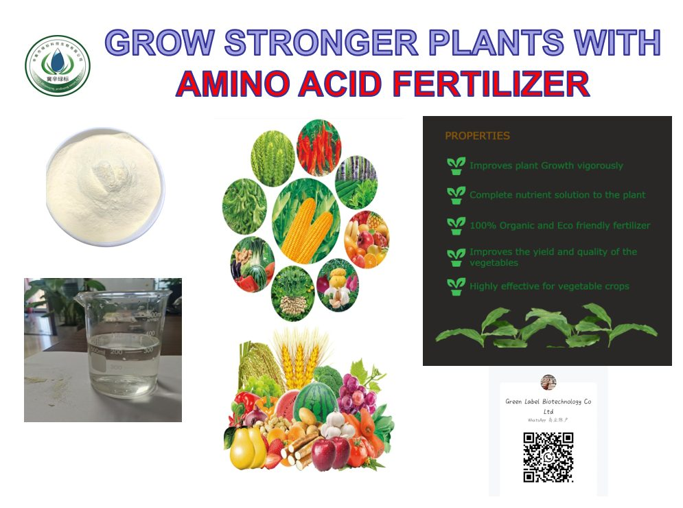 Plant-Based vs Animal-Based Liquid Amino Acids