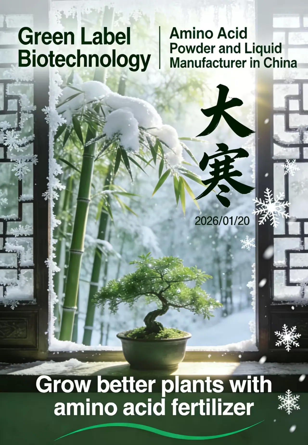 Soy Amino Acid Liquid Fertilizer-Plant-Based Liquid Amino Acid Biostimulant for Modern Agriculture