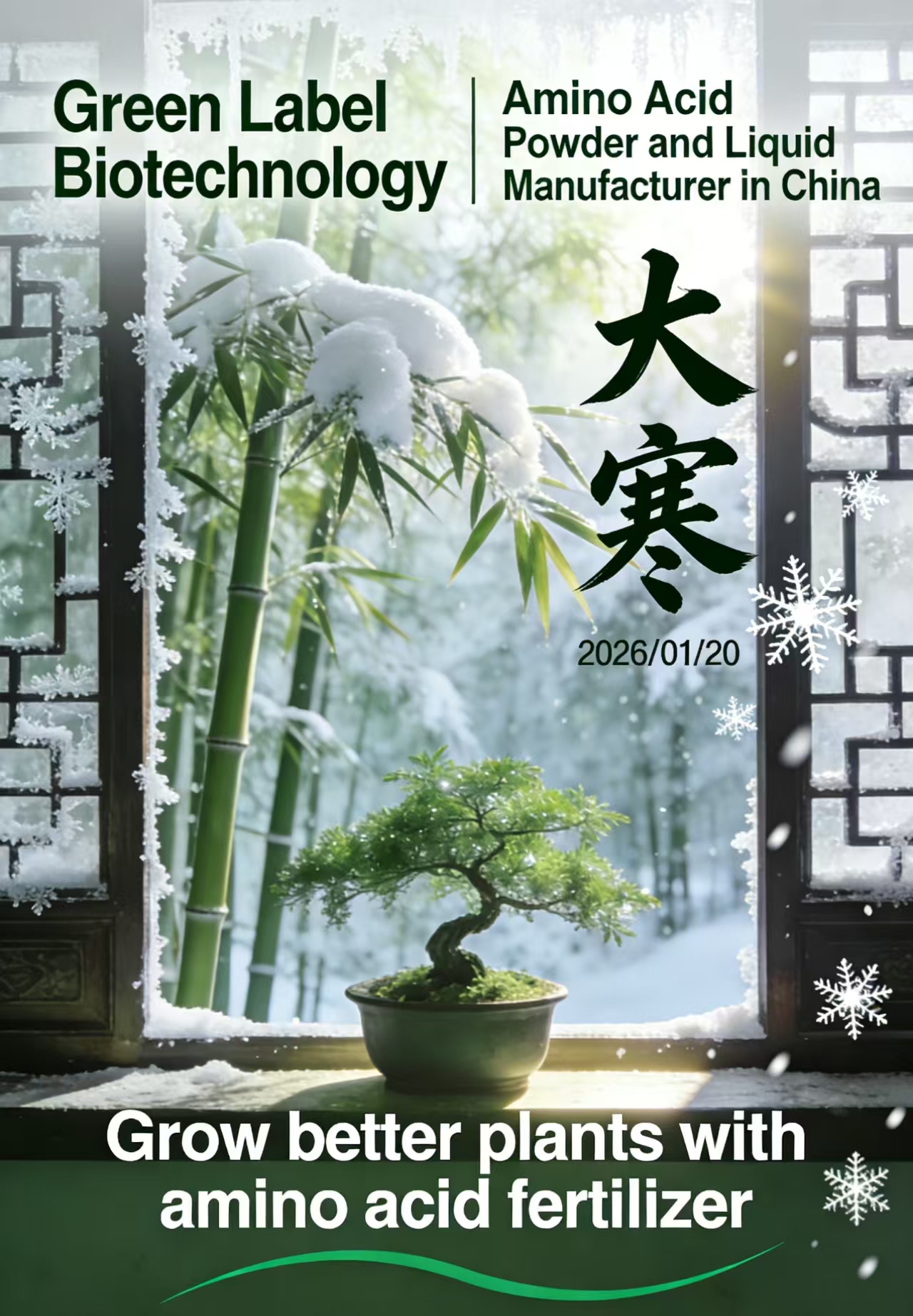 Soy Amino Acid Liquid Fertilizer Manufacturer | OEM & Bulk Supply